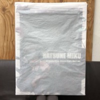 ホビーストック 初音ミク 1:7 HATSUNE MIKU Digital Stars 2022 ver. 未開封品 塗装済み完成品フィギュア デジタルスターズ